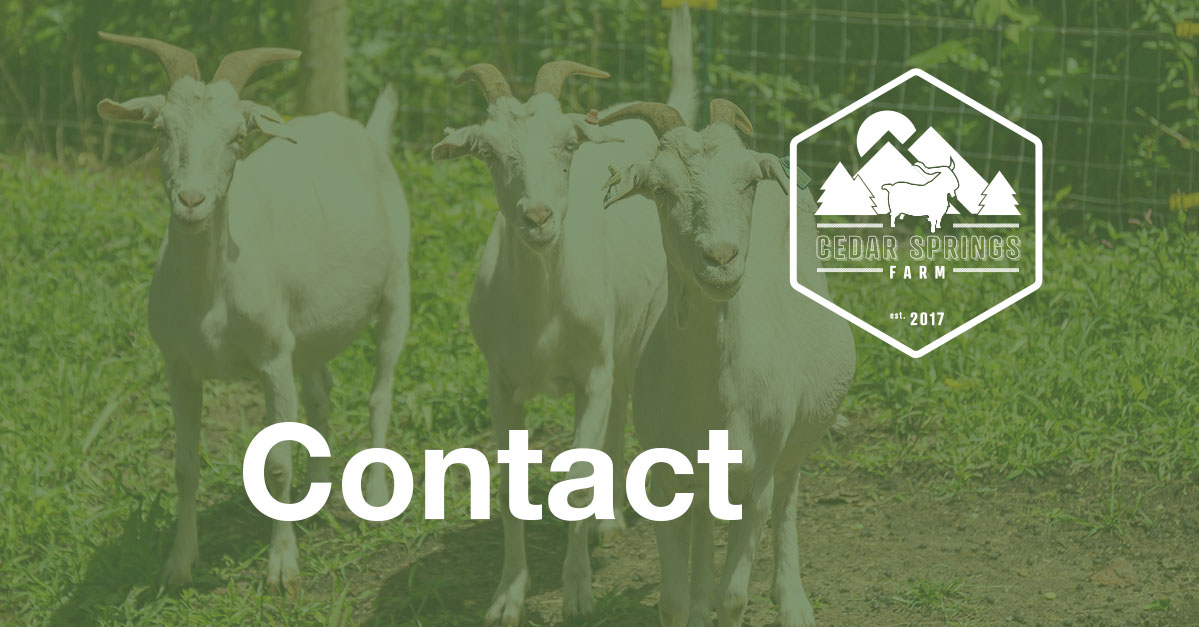 Contact Cedar Springs Farm